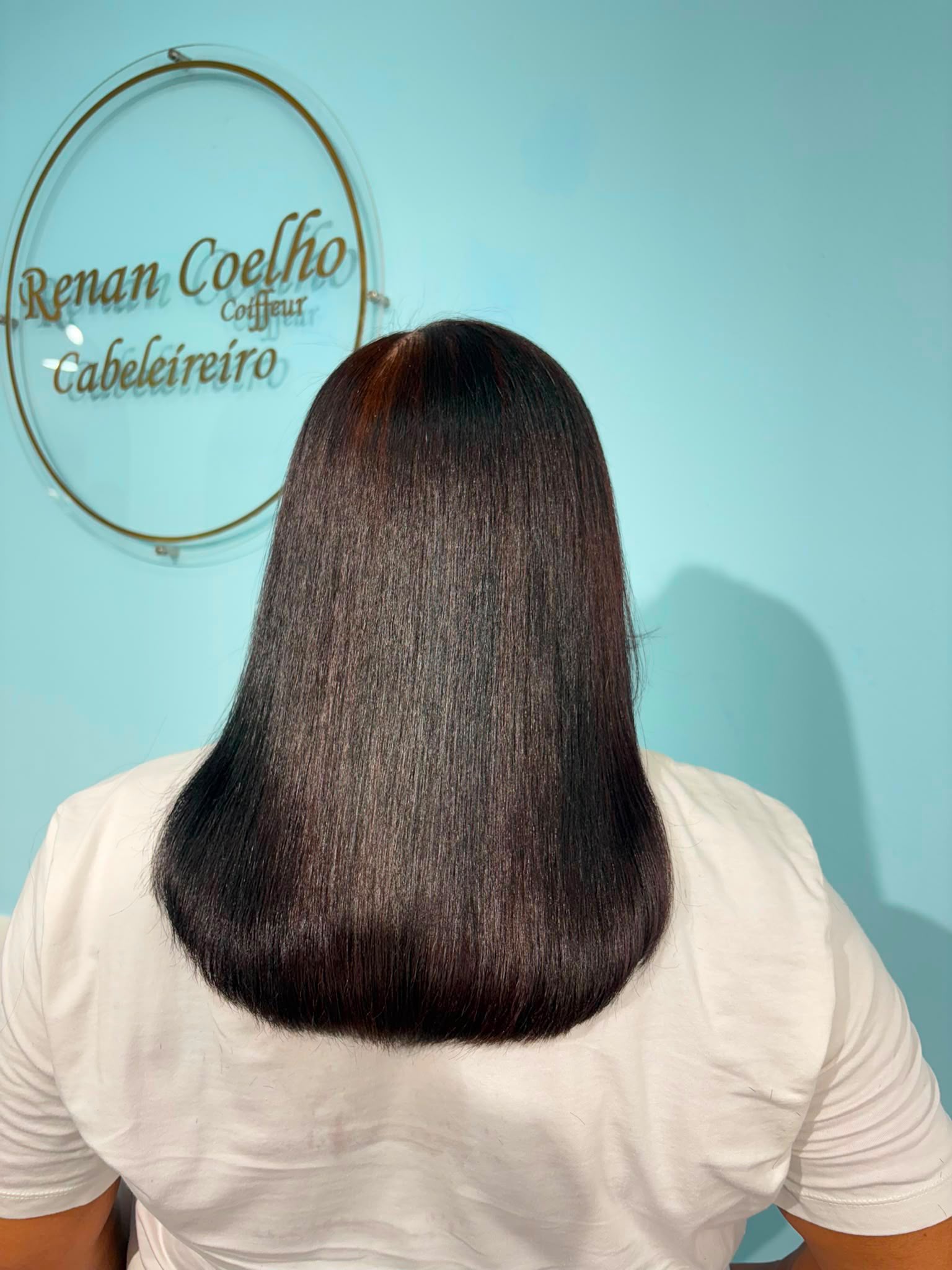 Cabelo castanho escuro liso com brilho